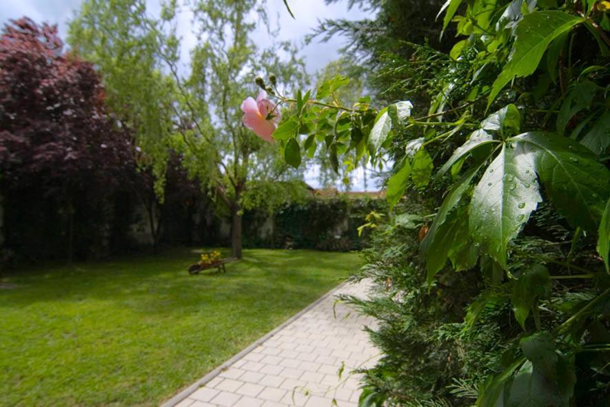 El Molino Villa Nieva  Exterior photo